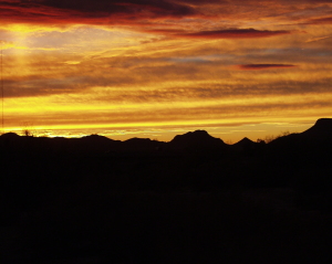 Arizona Sunset