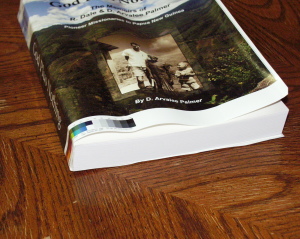 Cover art on the dummy binding